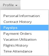 PaySlip